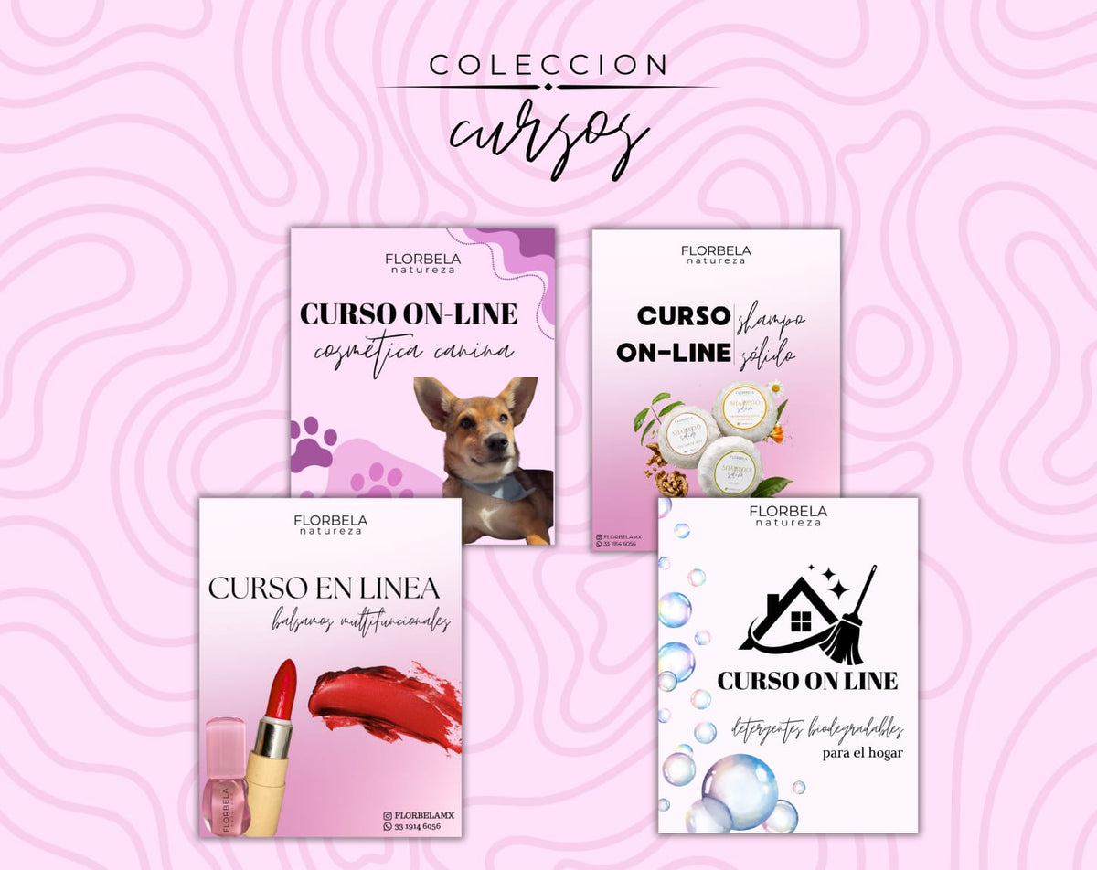 Cursos FLORBELA