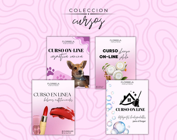 Cursos FLORBELA